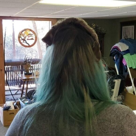 Vintage Soft‎ Brown Ribbon Look with Veil Netting Hat - Picture 3 of 6